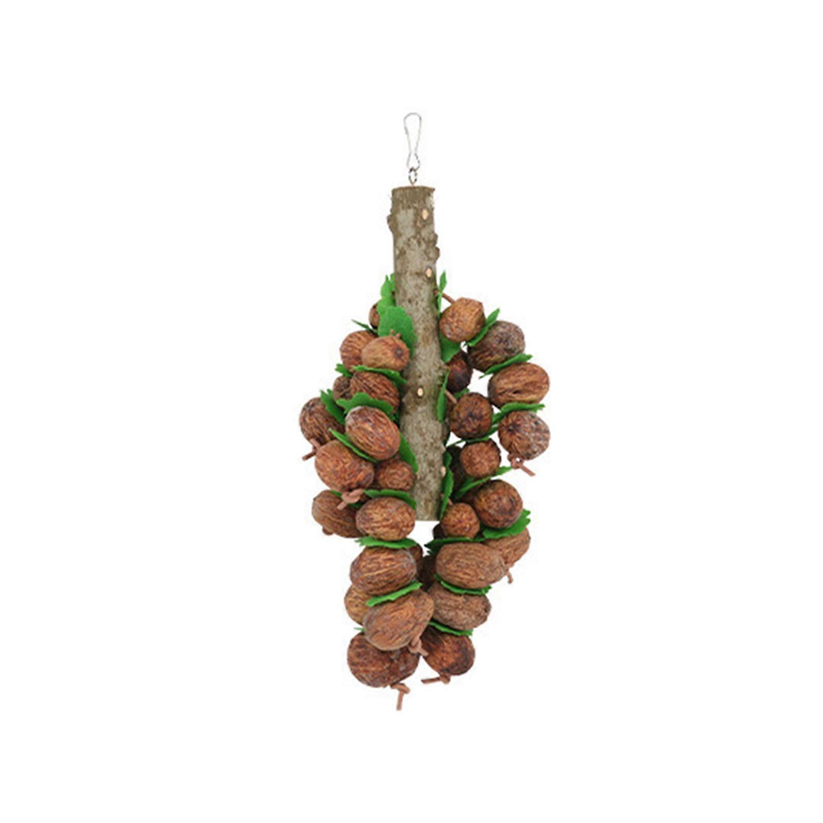 suspendu perroquet perruche petite activité animale mâcher jouet dents broyer des oiseaux africain pour calopsitte conure dents