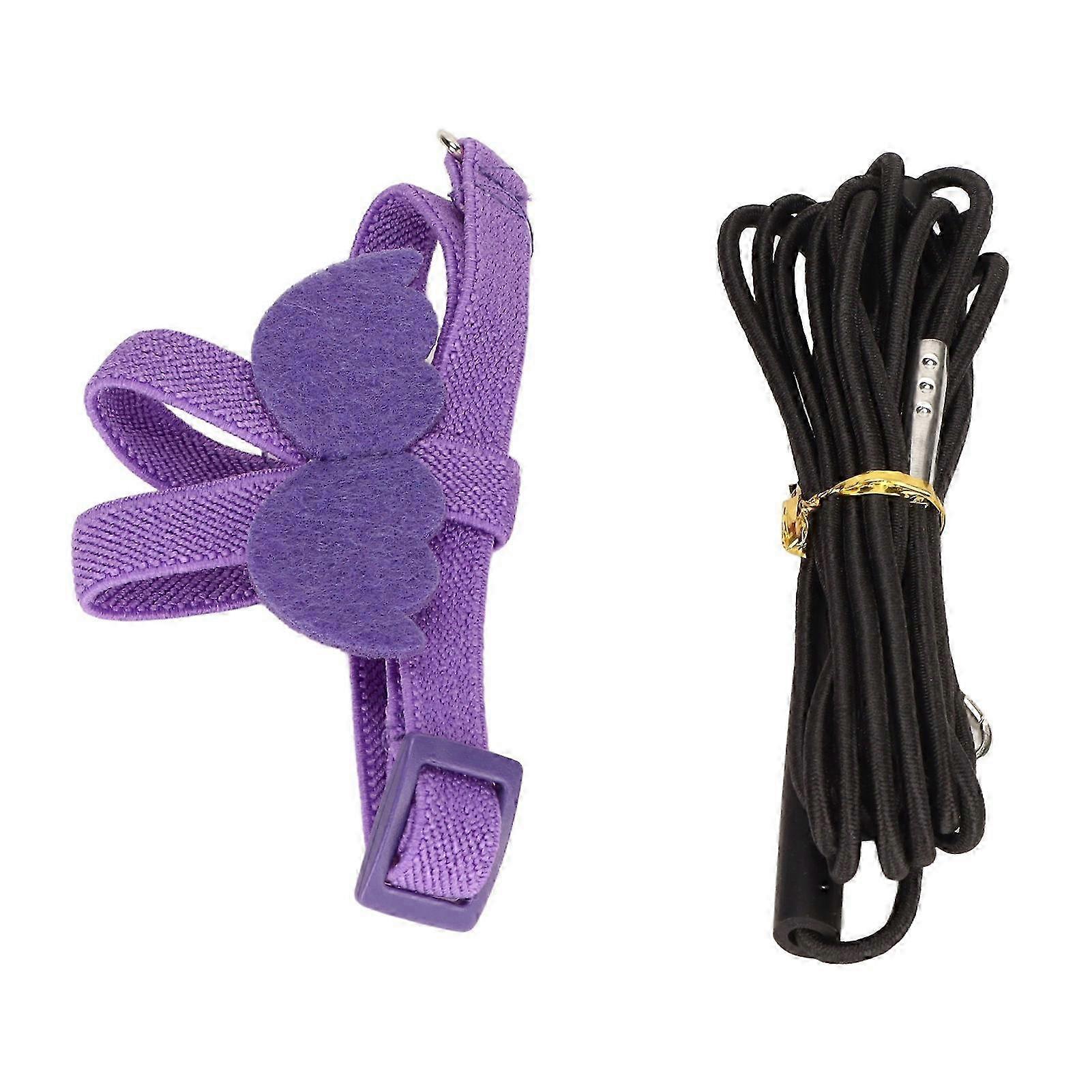 Lightweight Adjustable Bird Harness and Leash with Bite Resistant Feature and Cute Wing Handle in Purple
