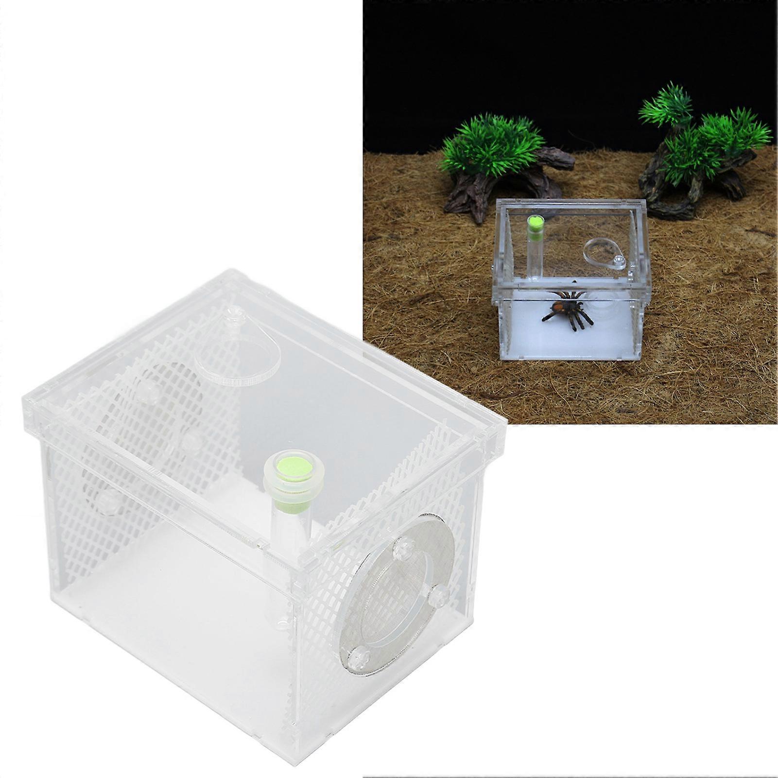 Reptile Insect Enclosure Tank Mini Acrylic High Transparency Moisturizing Reptile Insect Breeding Box S 