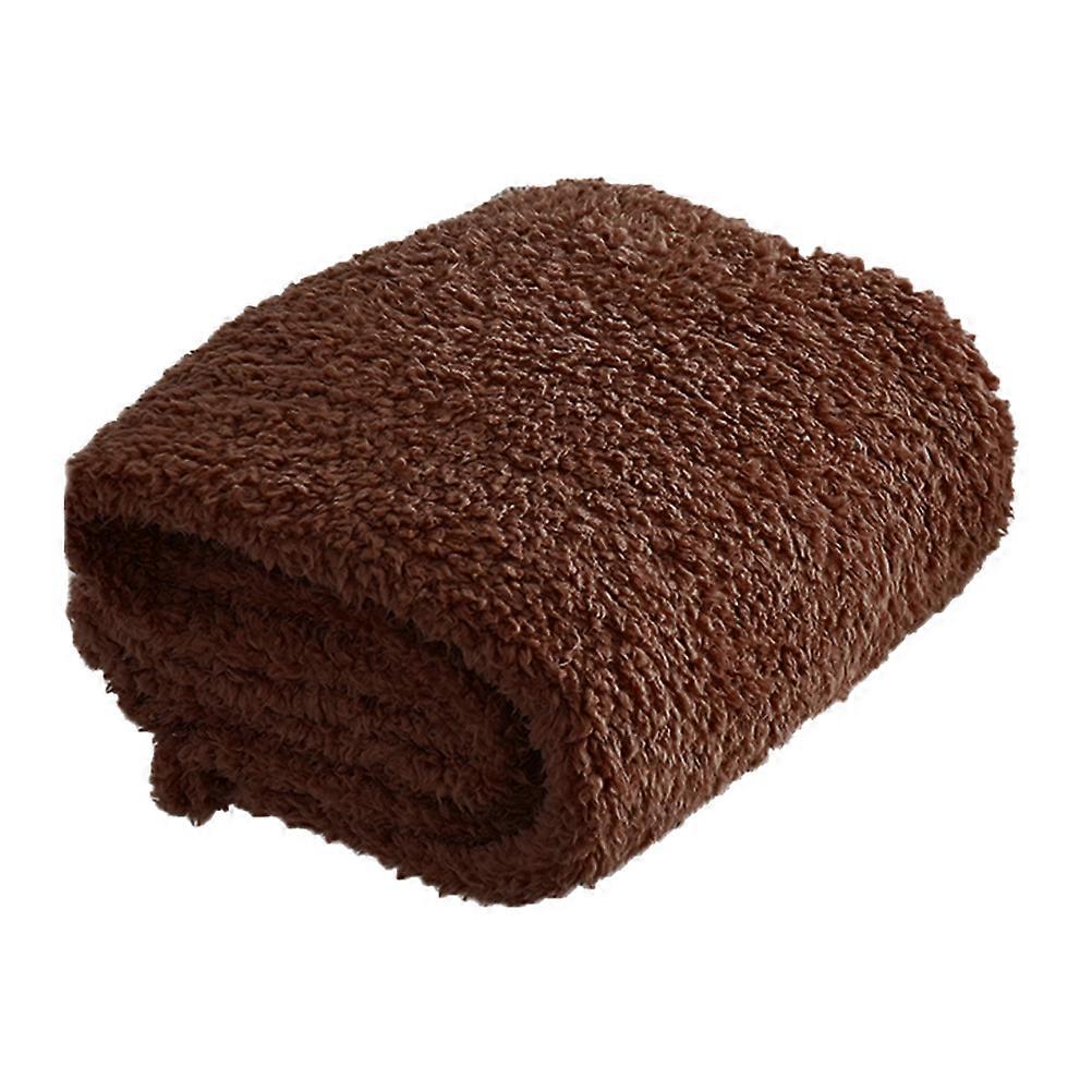 Plush Pet Carpet for Cozy Lightweight Coffee Color Perfect for Home Use 30x24 Inches