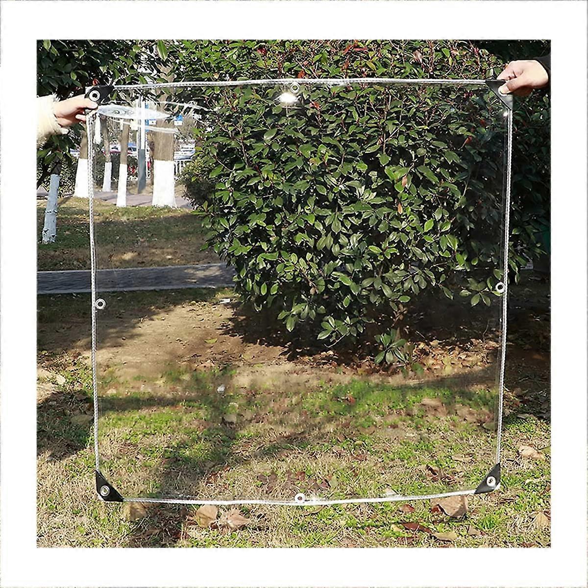 Waterproof Clear Tarpaulin with Eyelets, PVC Cover for Plants, Roof, 1x3m