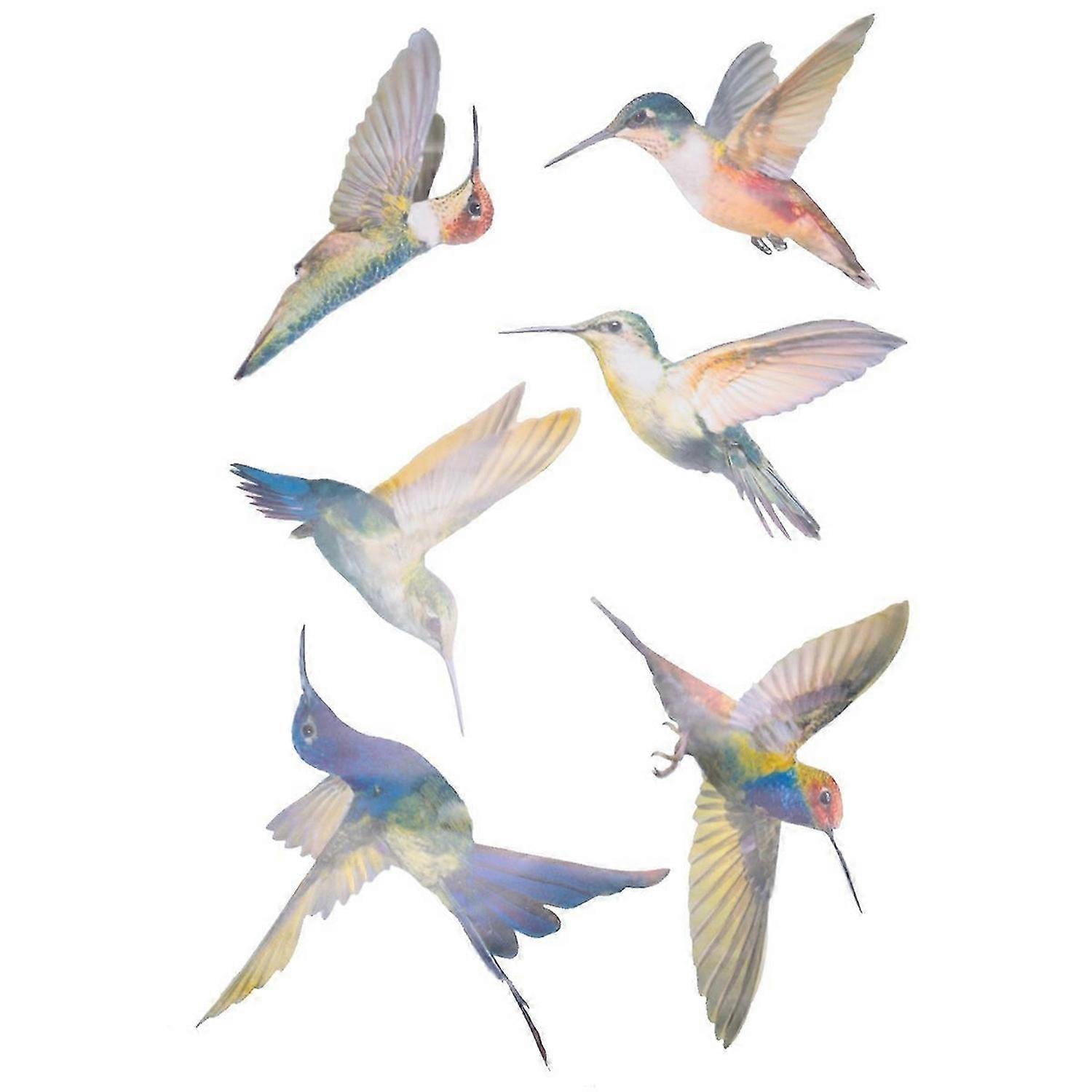 6 Pcs Large Size Bird Clings Anti-Collision Window Clings