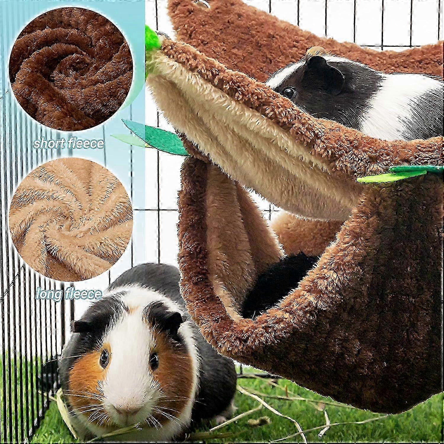 Guinea Pig hideout 2025
