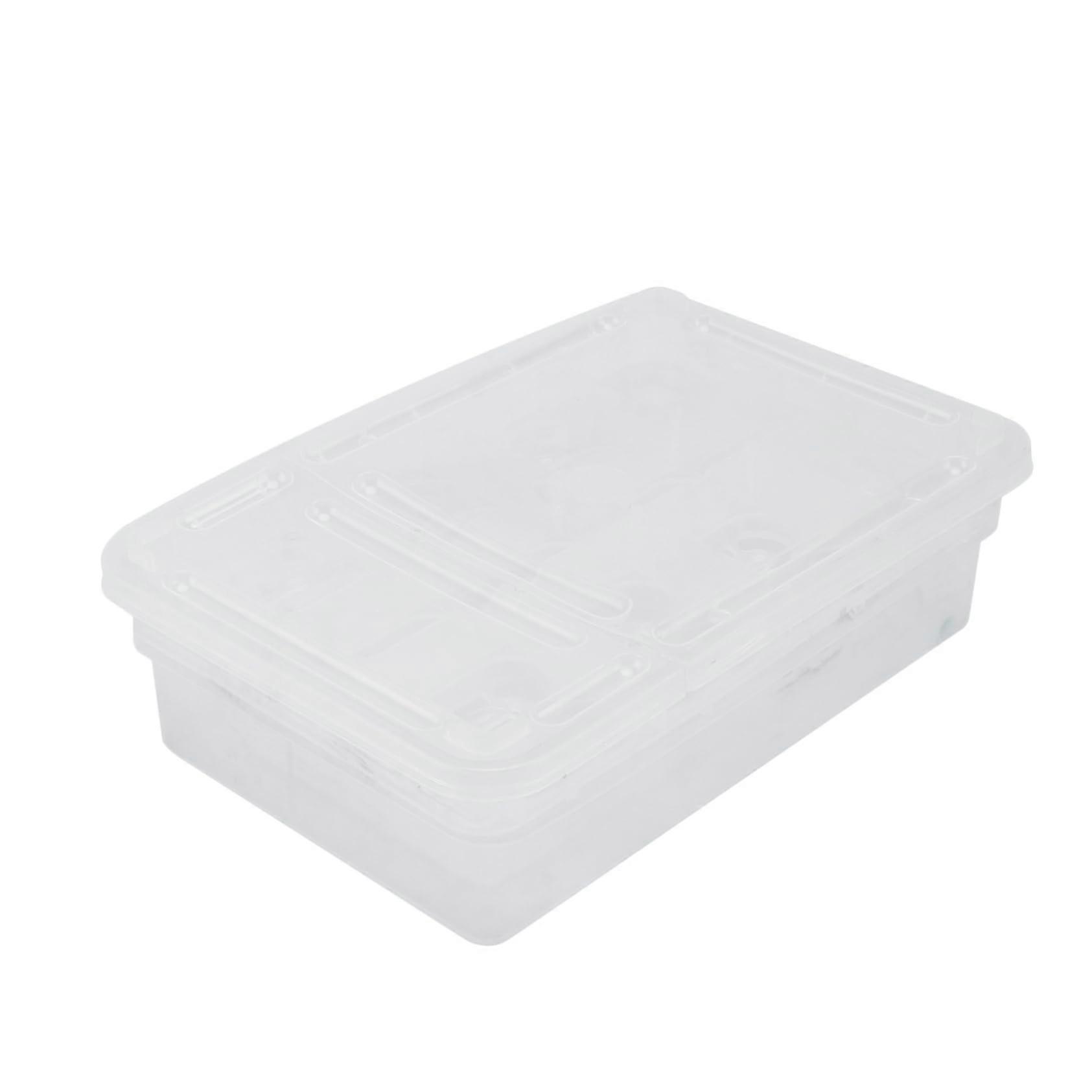 Reptile Egg Incubator Box for Lizard and Snake Eggs, Clear TwoLayer Hatchery with  Hatching Efficiency