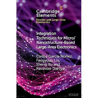 Técnicas de integração para eletrônica de grande área baseada em micro/nanoestruturas - Carlos García Néz