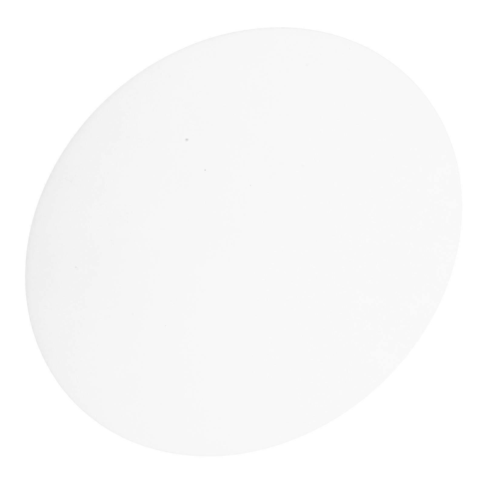 Acrylic Light Diffuser Panel Round Lampshade for 5Pcs Ceiling Light Replacement
