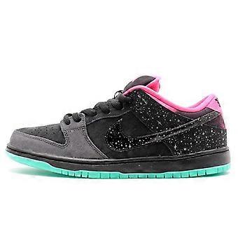 Nike SB Dunk Low Premier Northern Lights 724183-063
