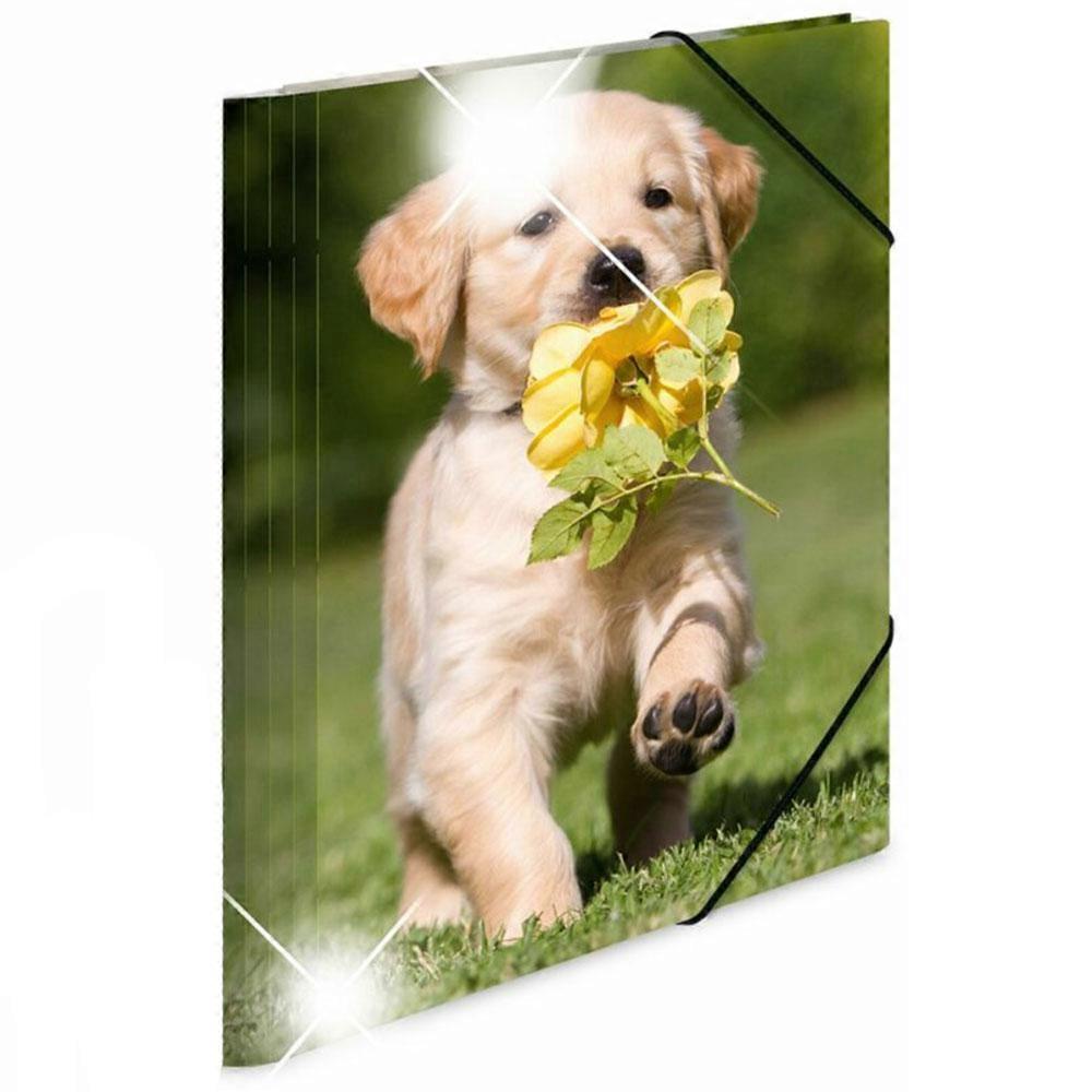 DOGS Herma Premium Quality and Stylish Elasticated Glossy PP Folder A4 Animals