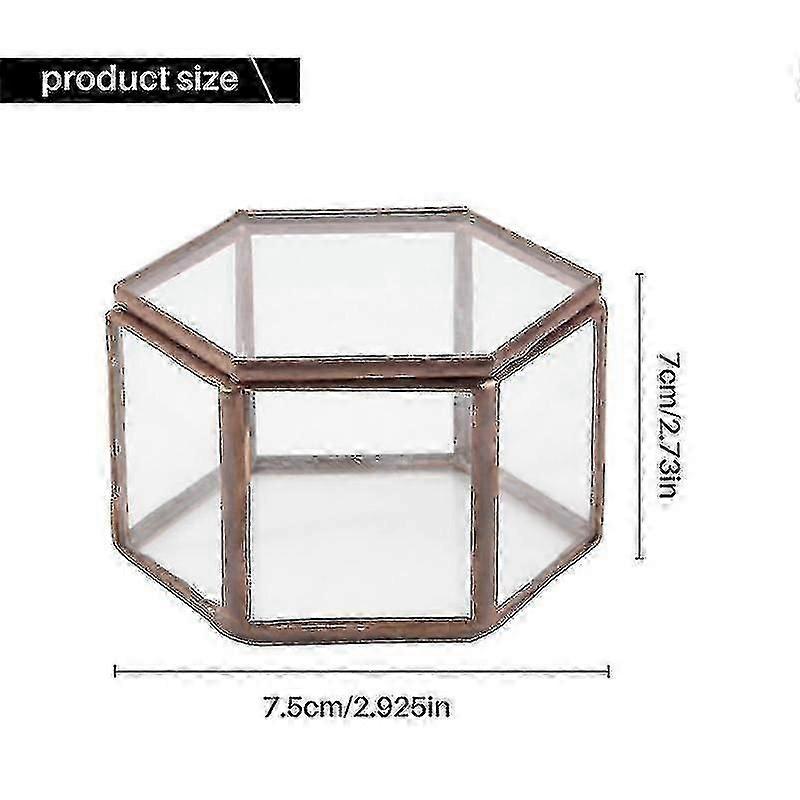 Transparent Hex Terrarium Display Box
