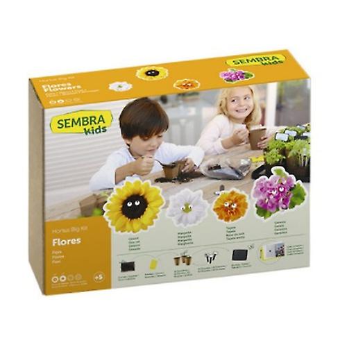Flower seeds 1 unit