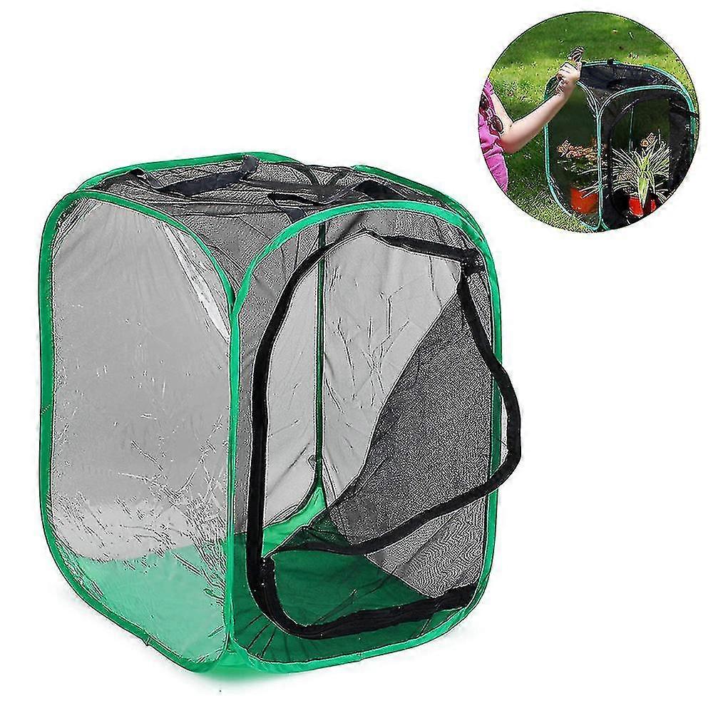 Tall Large Butterfly Habitat Cage Collapsible Terrarium Pop-up Lnches , Insect And Butterfly Net For Raising Inserts