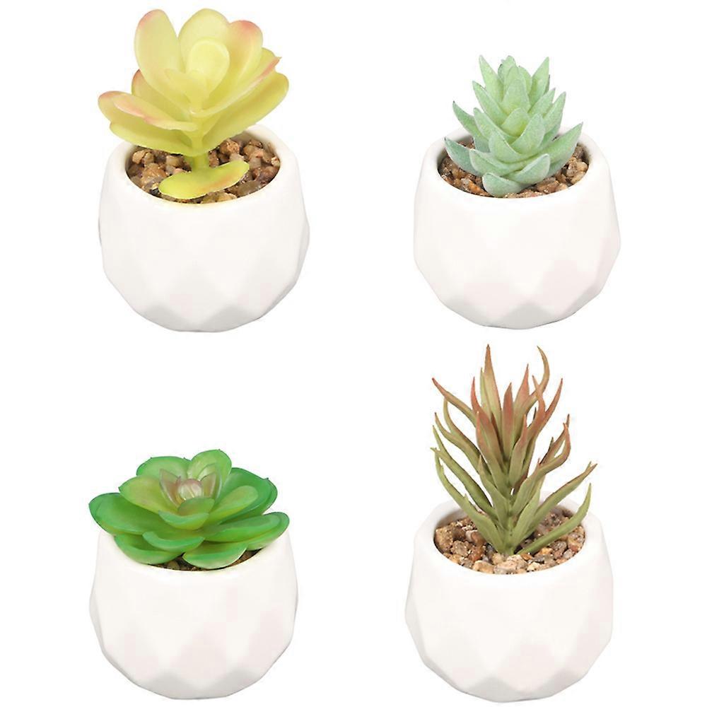 Shaped potted plants-Office decorations potted plants