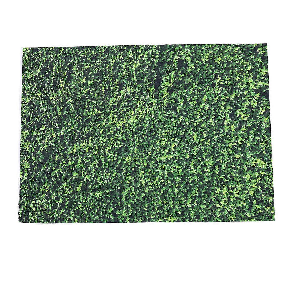 Practical Photography Backdrop, Stylish Design, Supports Various Shoots