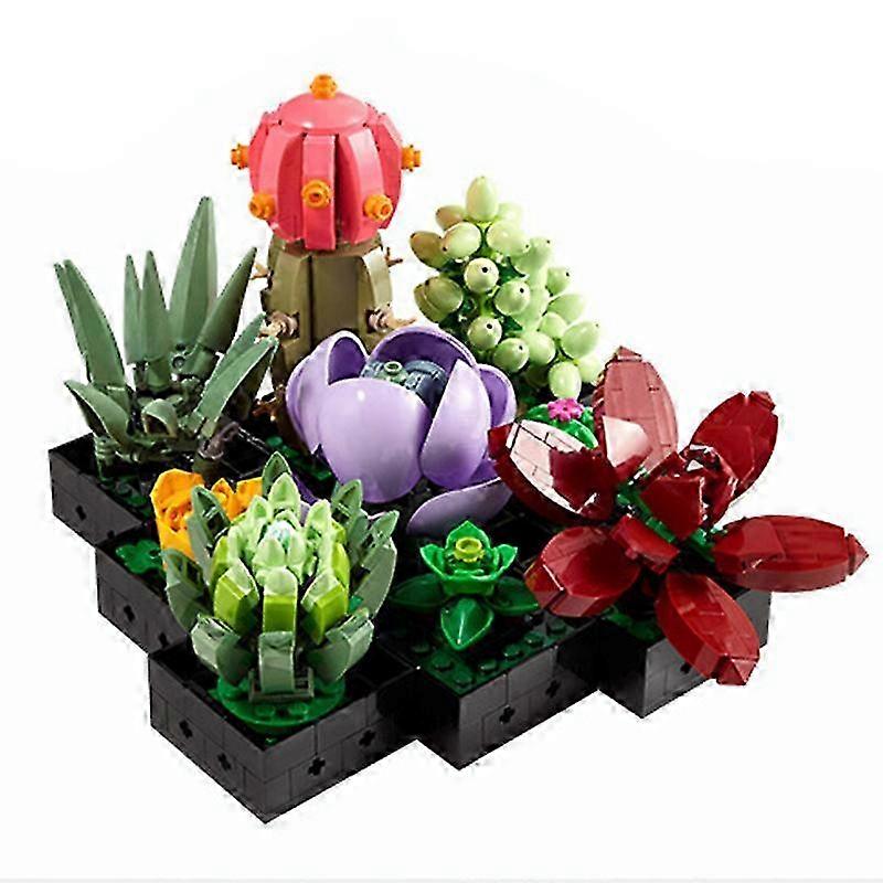 Artificial succulents set for adults - Creative hobby kit with 9 small plants