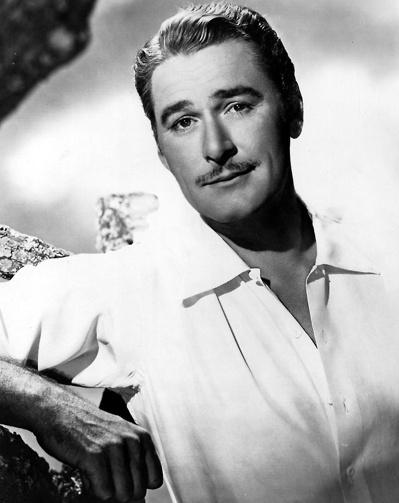 Errol Flynn Poster