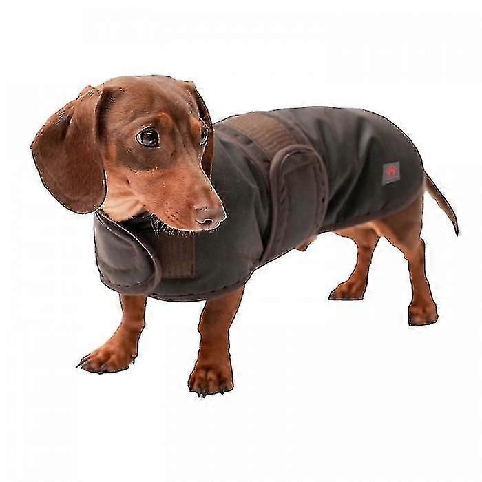 Teckel Waxed Dog Coatg