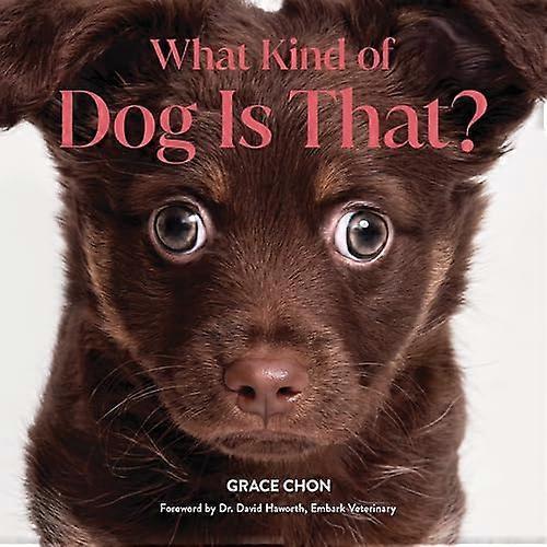 ¿Qué tipo de perro es ese?