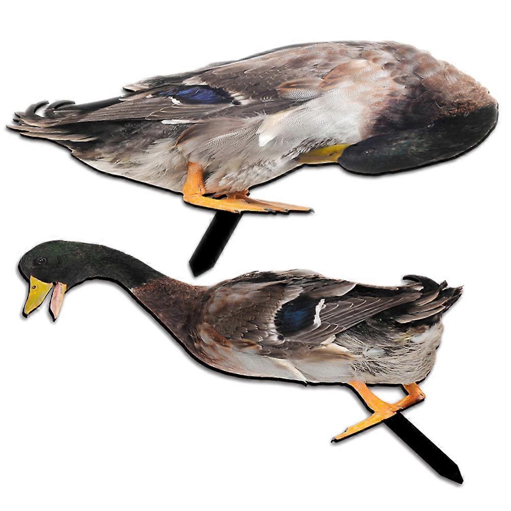 Acrylic Stake Garden Duck Decoration for Yard Use 6Pcs Set