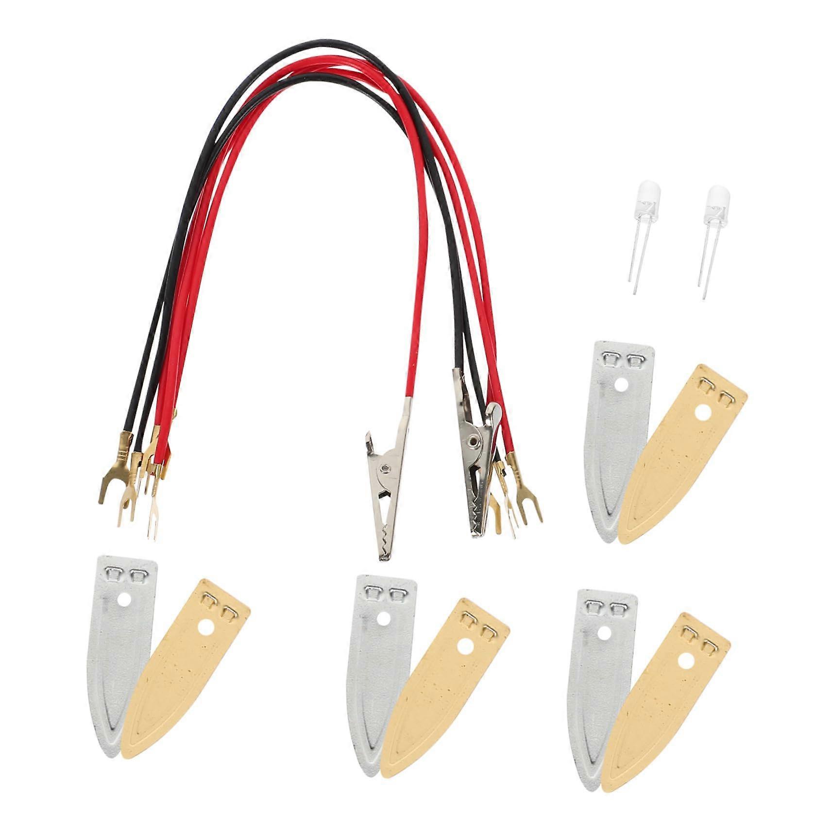 DIY Fruit Battery Science Experiment Kit with Visible Power Indicator for Educational STEM Learning