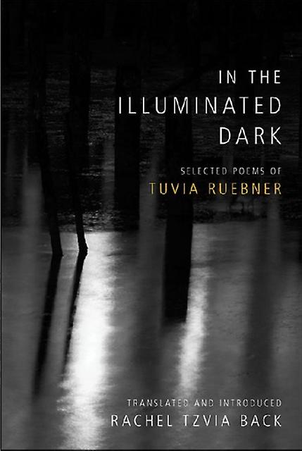 In The Illuminated Dark by Tuvia Ruebner Hardback Book