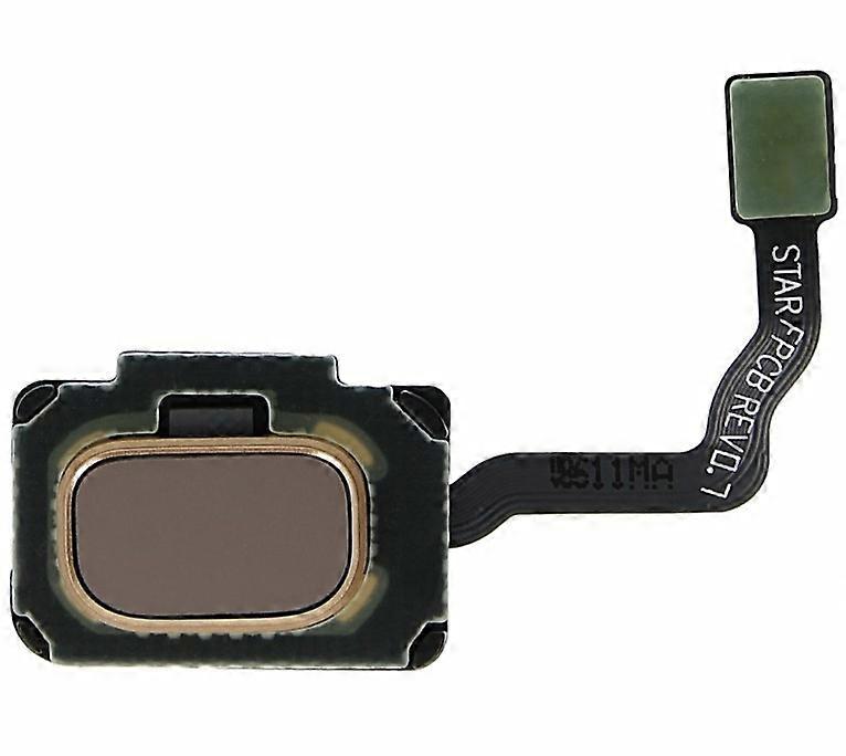 Samsung Galaxy S9 & S9 Plus Fingerprint Sensor - Original - Gold