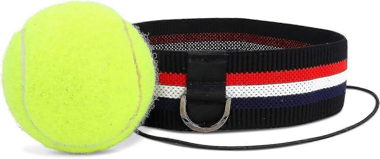 Professional Fight Ball Reflex To Increase Performance In Boxing Training