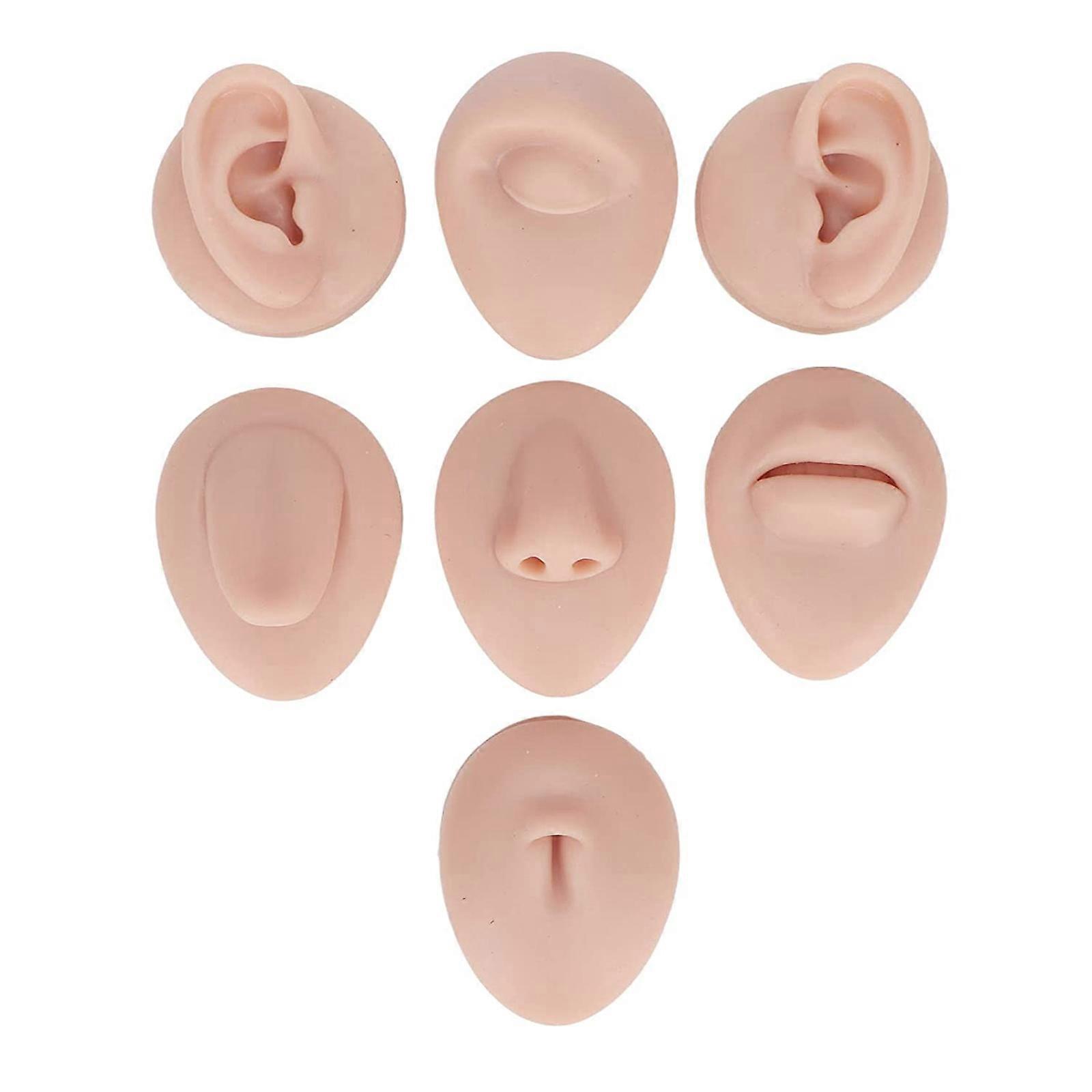 Soft Silicone Flexible Model Body Part Displays Set, Body Piercing Practice Model