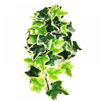 Plastic Hanging Plant Terrarium Reptiles Habitat for Reptile Amphibians
