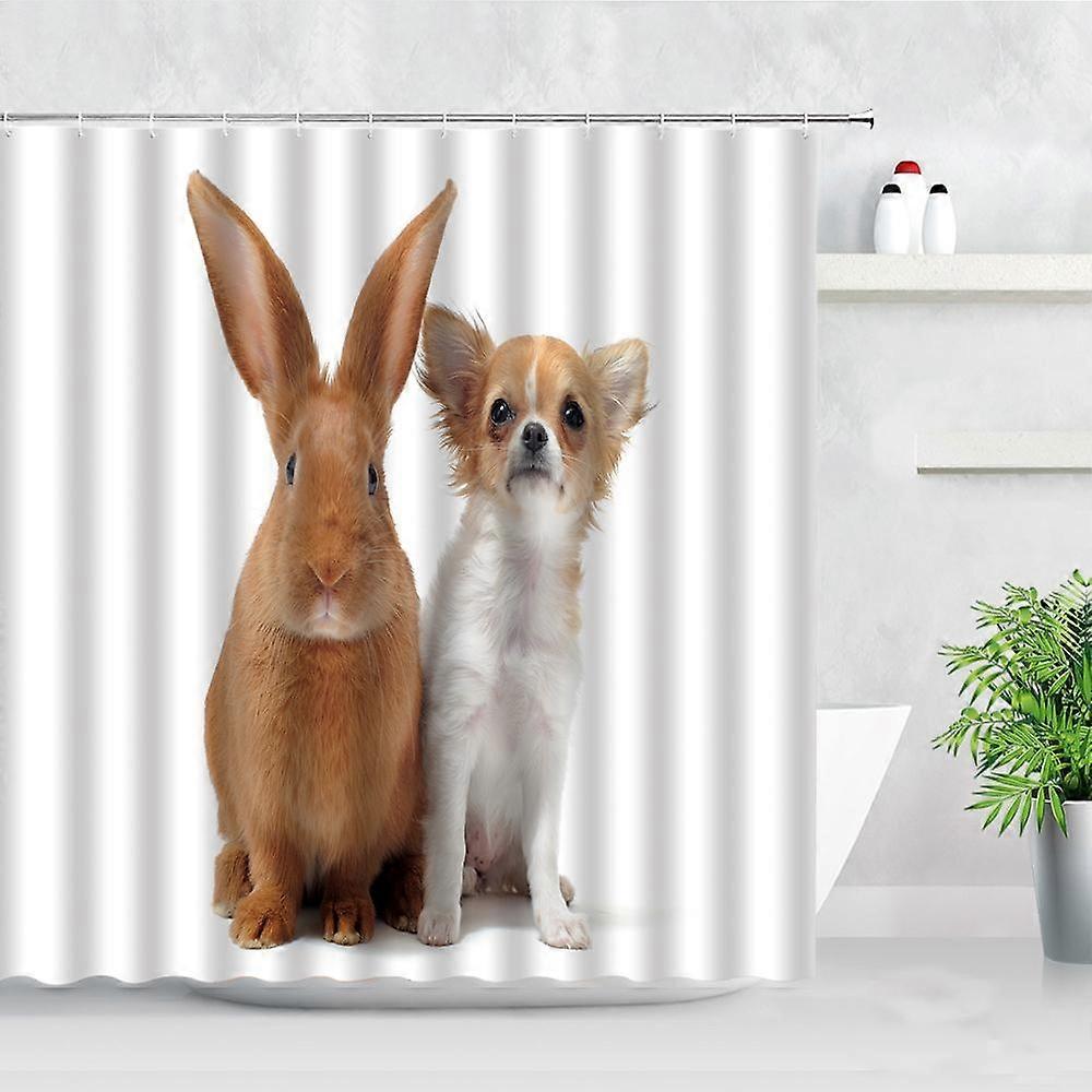 Bathroom Shower Curtain Design Style - 463