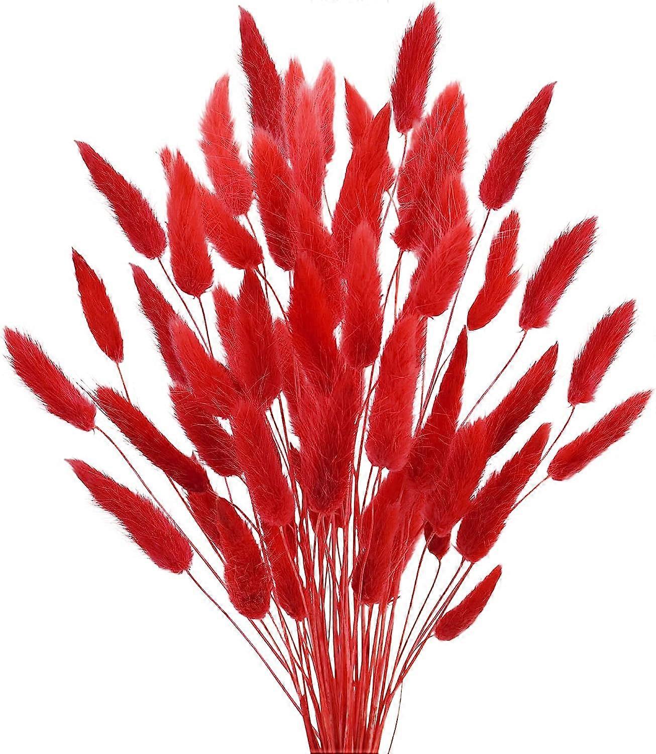 17 Natural Bunny Tails Dried Flowers, 50 Pcs Dried Lagurus Ovatus, Dried Pink Pampas Grass Decor for Farmhouse Flower Arrangements Wedding Home Boho P