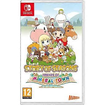 Story of Seasons Friends Of Mineral Town Switch Game
