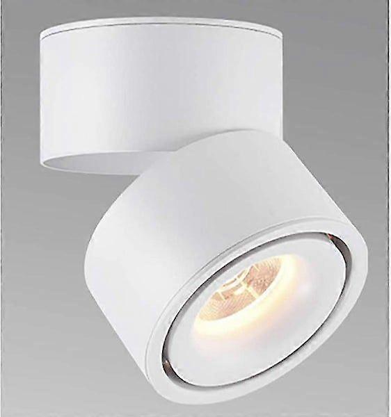 10W LED Surface Mount Spotlight with Adjustable Direction, Warm White Light, Compact Size, Durable Aluminum Construction