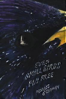 Even Small Birds Fly book - Pdraig O'Gorman