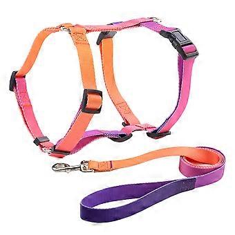 Large Dog Carrier, Dog Carrier and Leash Set Adjustable Reflective, Dog Vest Carrier Handle, Training Outdoor Walking Pet Carrier