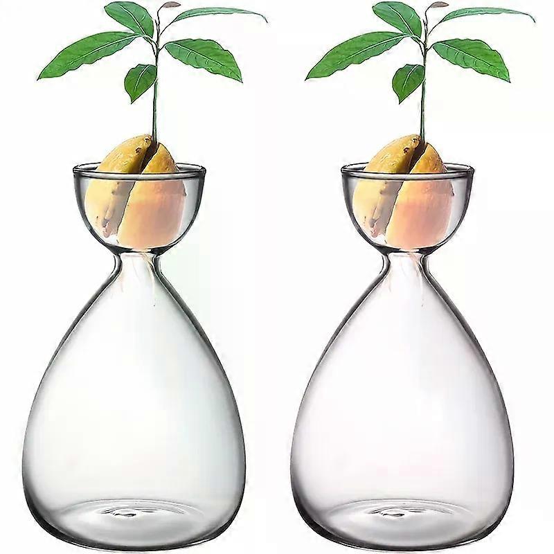 2個の小さなアボカドシードスターター花瓶、アボカドの木の成長キット、ガーデニング愛好家のためのアボカドガラスプランター花瓶ギフト