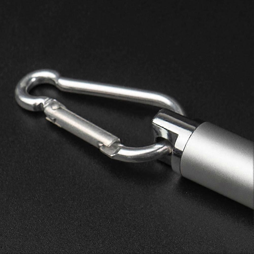 Cat Chaser Toy USB LED Light Flashlight Pet Interactive Toy