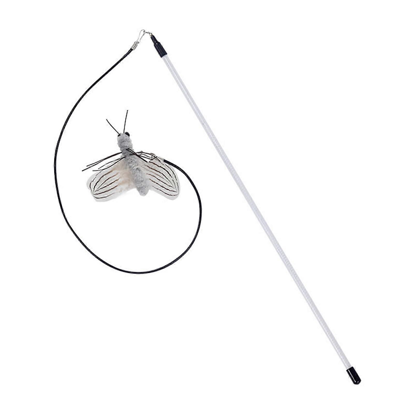 Funny Caterpillars
Colorful Stick Interiors Entertainment
Multifunctional Cat Stick for Stimulating Predatory Skills
Big Gray Moth