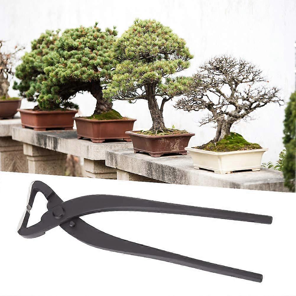 Bonsai Scissors 210mm Steelwork Splinter Scissors for Beginners Vouiu Bonsai Modelling Tools Garden Use
