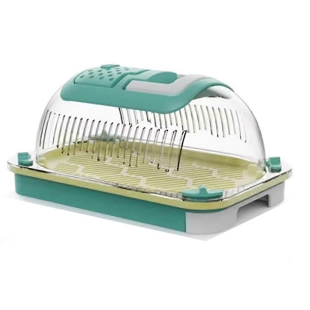 Breathable Insect Terrarium Box for Reptiles, Ideal for Lizard Observation, Clear Acrylic, Compact Size