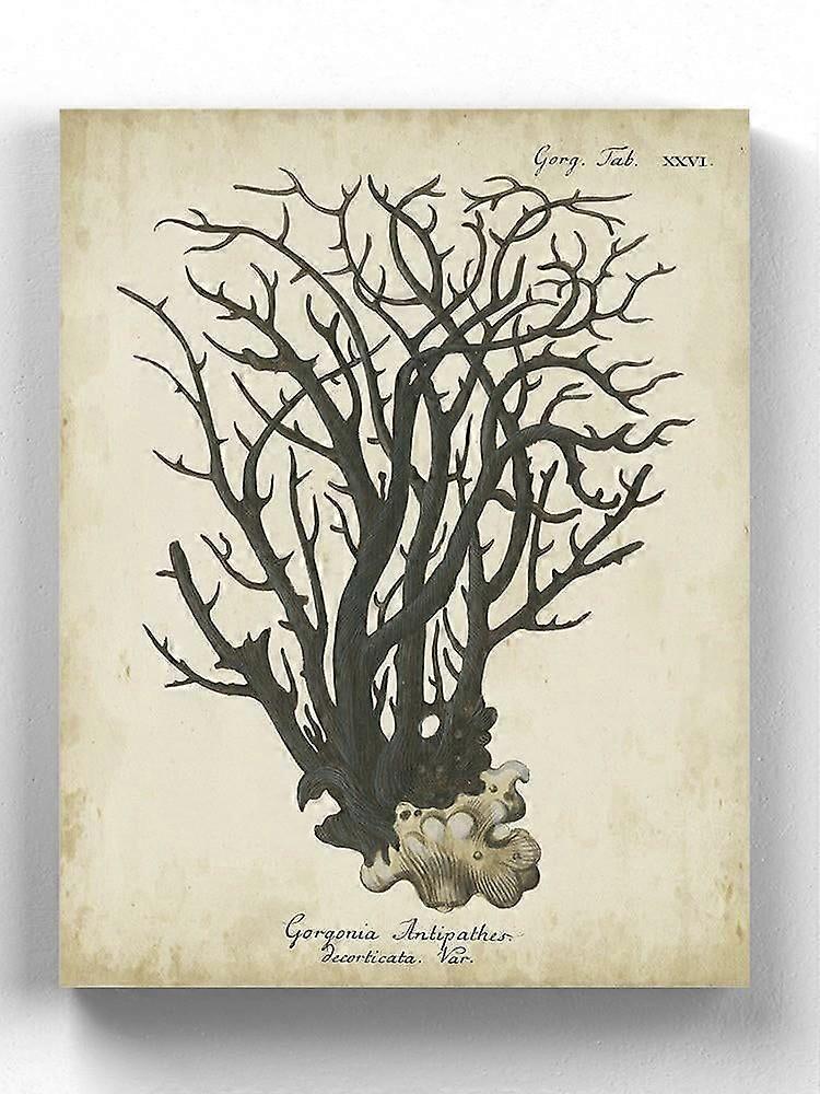 Turkoosi Esper Coral I kääritty kangas -Johann Esper Designs,-ouyab1407