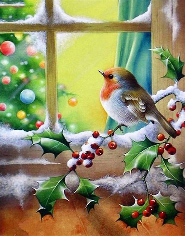Winter Birds Xmas Paint By Numbers (40x50cm No Frame)