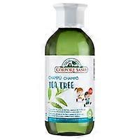 Shampoo escolar com óleo de melaleuca 300 ml