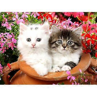 KITTEN CATS  Jigsaw Puzzles TD314