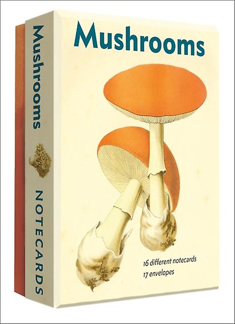 Mushrooms  Notecard Set Cards Book