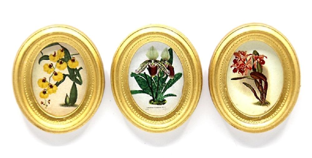 Dolls House 3 Botanical Orchid Painting Pictures Gold Frames Miniature Accessory