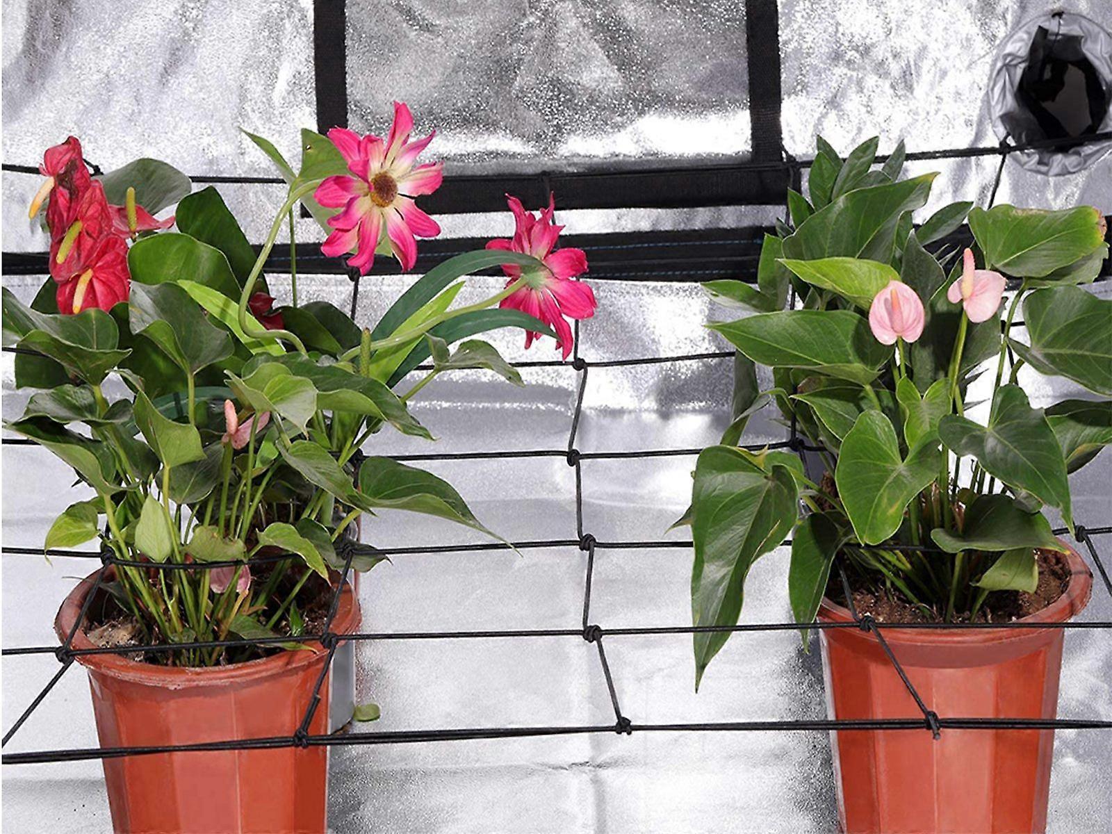 2Pcs 90x90cm Elasticated Grow Tent Trellis Net Netting Scrog Trellis Net