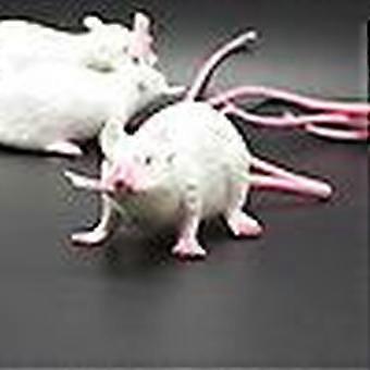 Lot De 4 Faux Rats En Caoutchouc Réalistes Pour Décoration Halloween - Souris Effrayantes, Idéal Farces Et Décorations De Fête