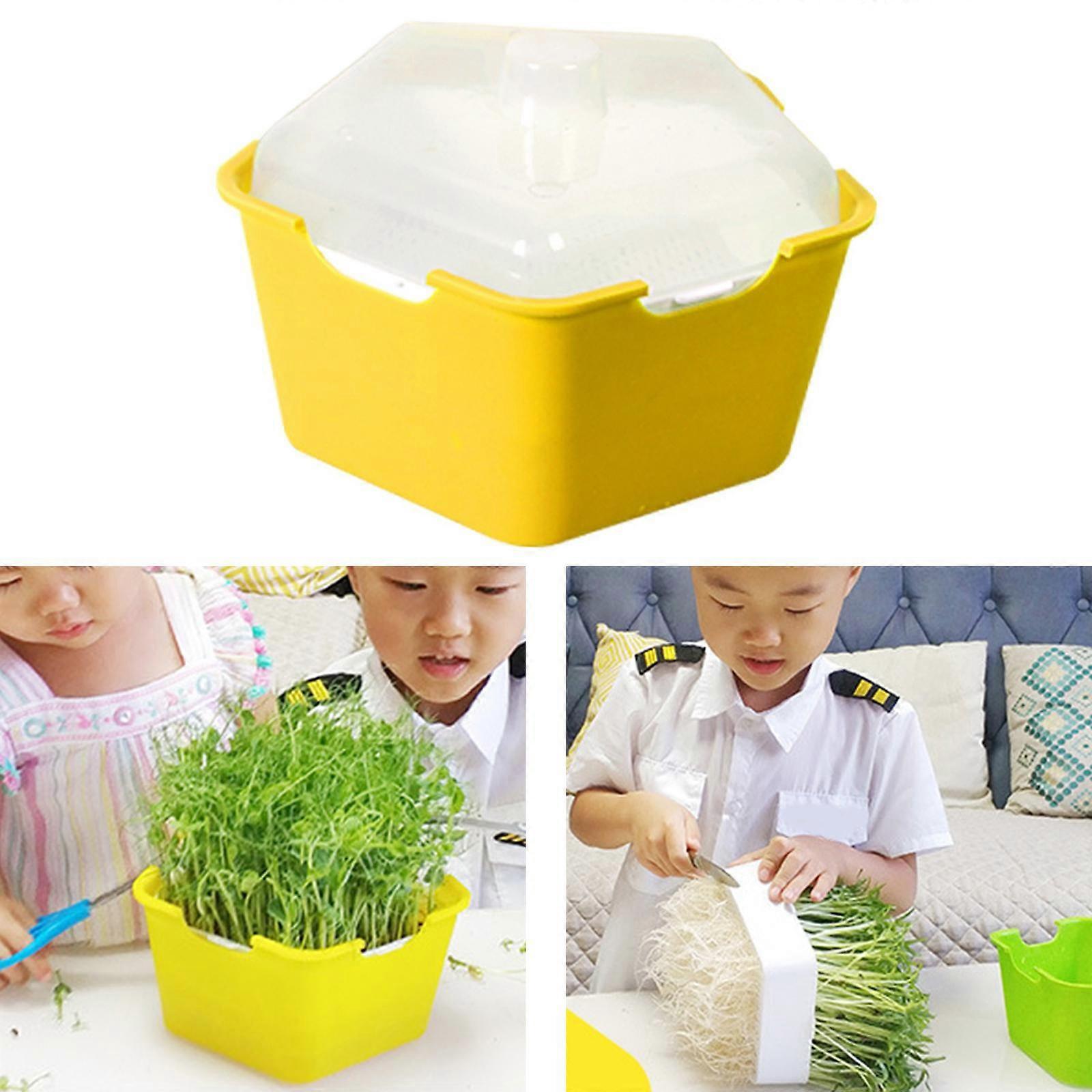Germination Tray Eco-Friendly Mini Propagator Seed Sprouter Tray for Germination , Green