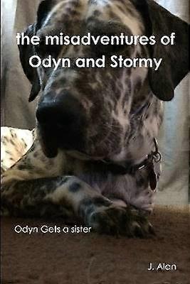 the Misadventures of Odyn and Stormy