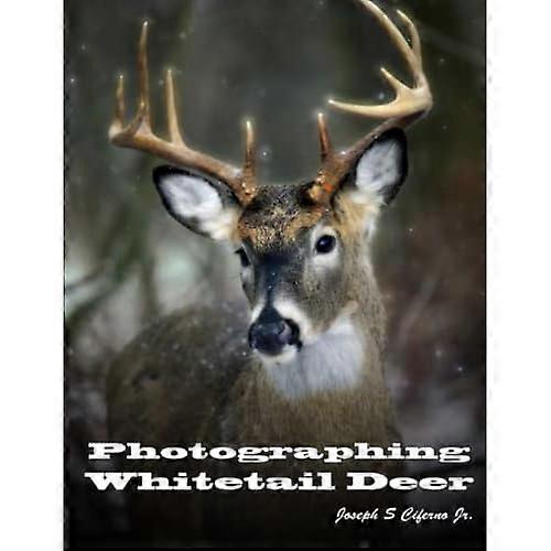 Photographing Whitetail Deer